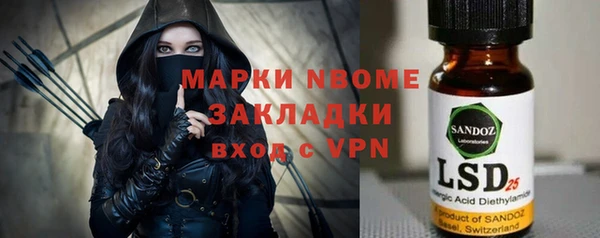 PSILOCYBIN Алзамай