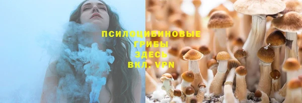 герыч Алексин