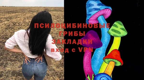 PSILOCYBIN Алзамай
