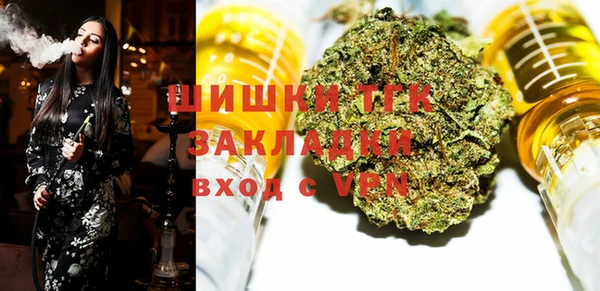 PSILOCYBIN Алзамай