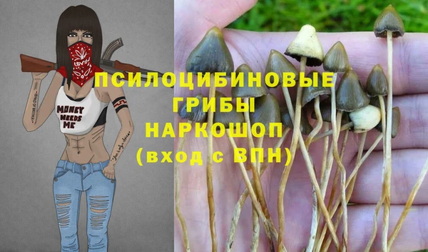 герыч Алексин