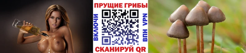 Псилоцибиновые грибы мухоморы  Пролетарск 